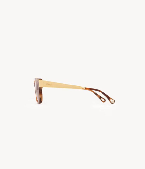 Chloé 349/S-002 54 Holly Sunglasses in Dark Havanna