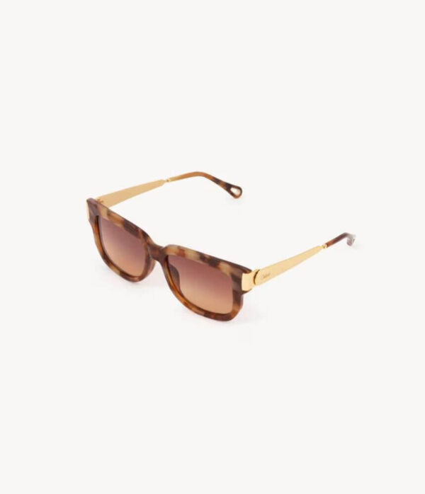 Chloé 349/S-002 54 Holly Sunglasses in Dark Havanna
