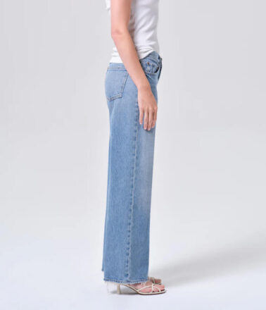 Agolde Low Rise Loose Jean in Vault