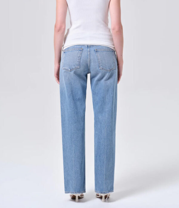 Agolde Low Rise Loose Jean in Vault