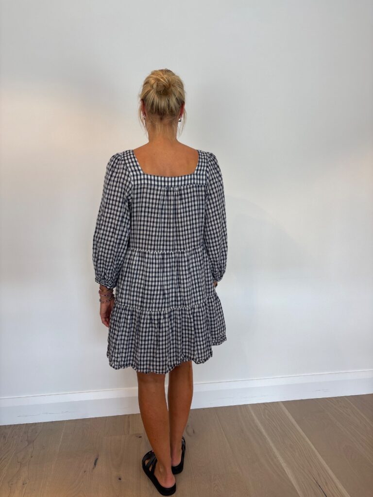 Rails Pippa Check dress