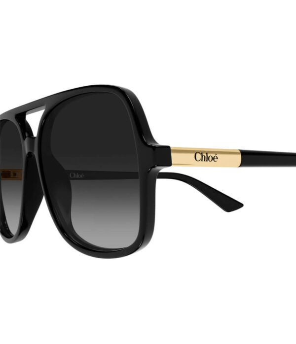 Chloe Sunglasses CH0364S-001 57 in Black