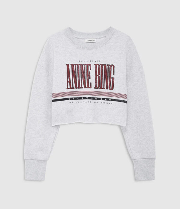 Anine Bing Sporty Cropped Sweatshirt in Heather Grey