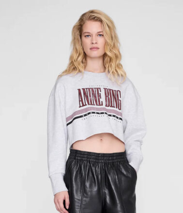 Anine Bing Sporty Cropped Sweatshirt in Heather Grey