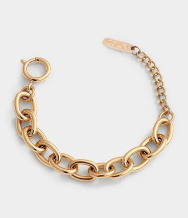 Coluri Charm Bracelet in Gold
