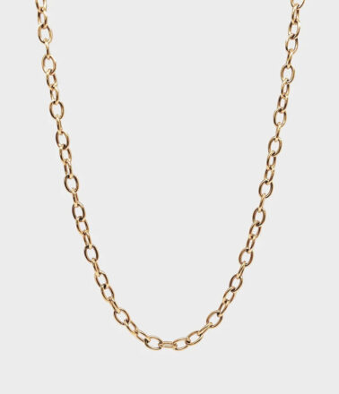 Coluri Charm Chain Thick Necklace in Gold