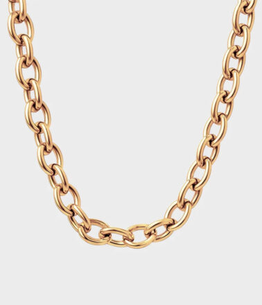 Coluri Charm Chain Thick Necklace in Gold