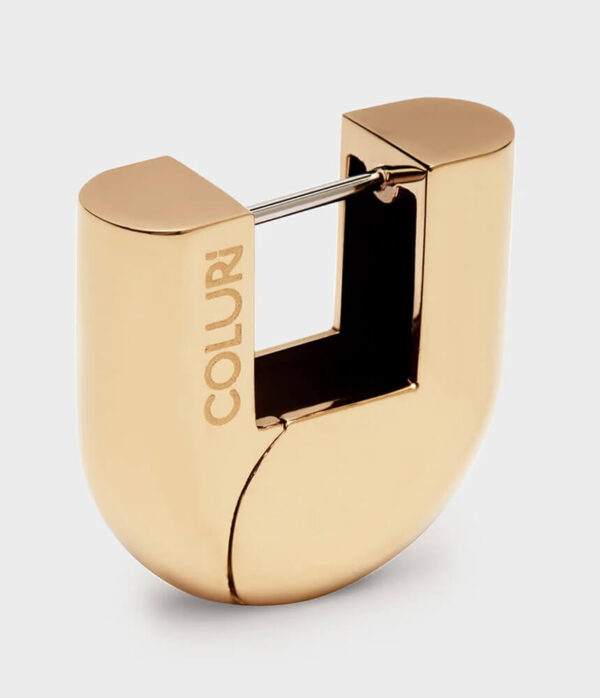 Coluri Lorde Statement Earrings in Gold