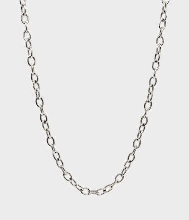 Coluri Charm Chain Thin Necklace in Silver