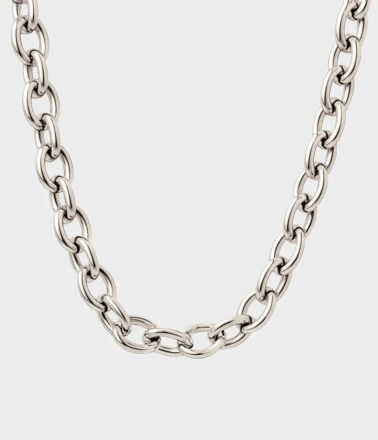 Coluri Charm Chain Thick Necklace in Silver